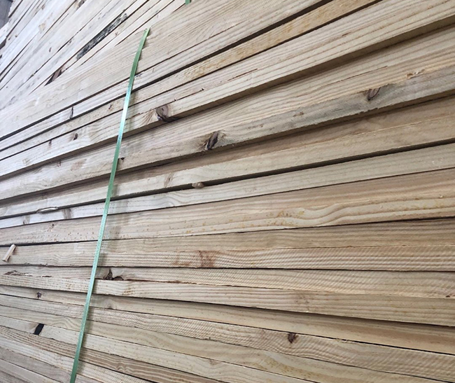 通化巴西松